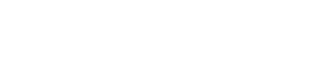 NanoDefense Pro Logo